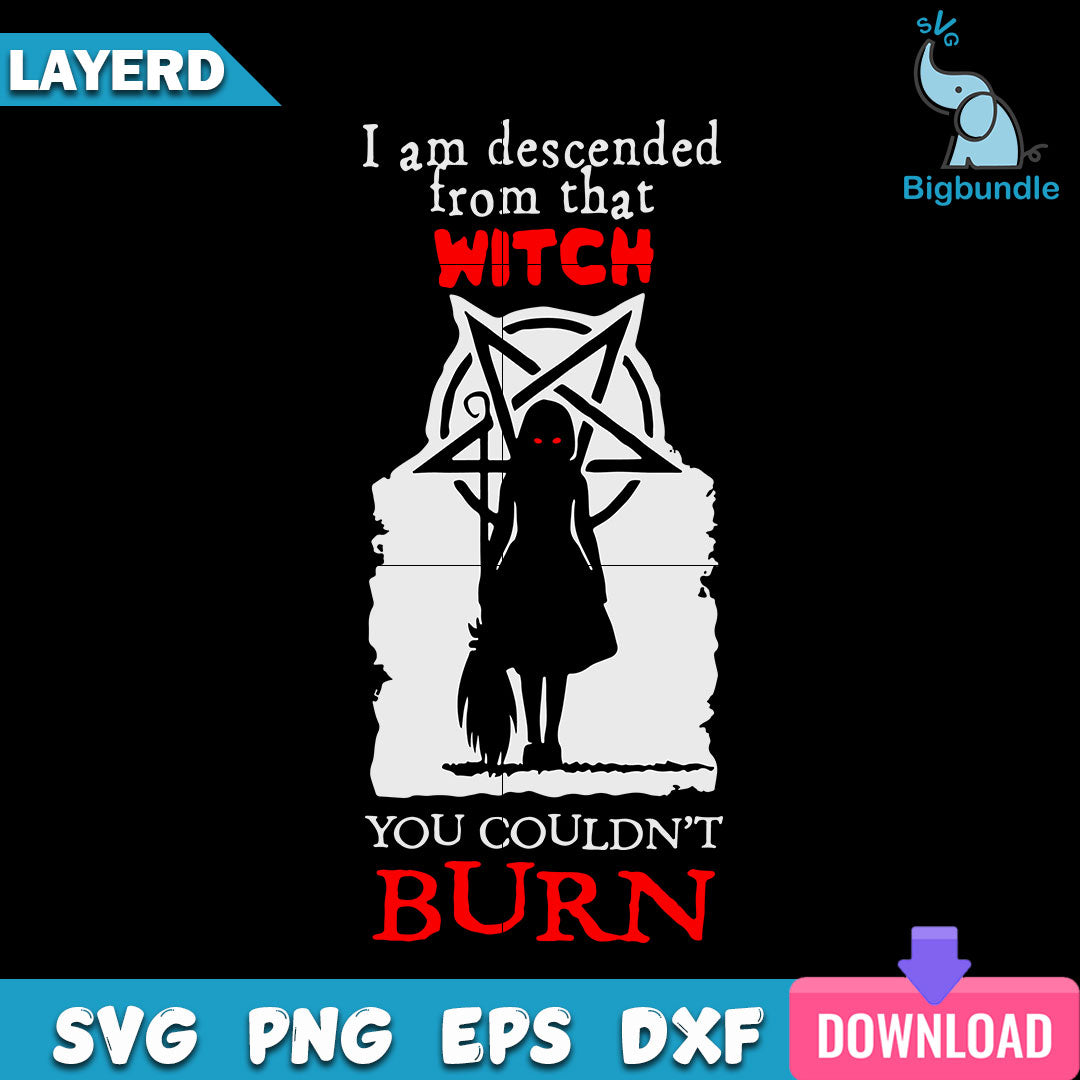 I Am Descended From That Witch Svg, Halloween Svg, SG14072309