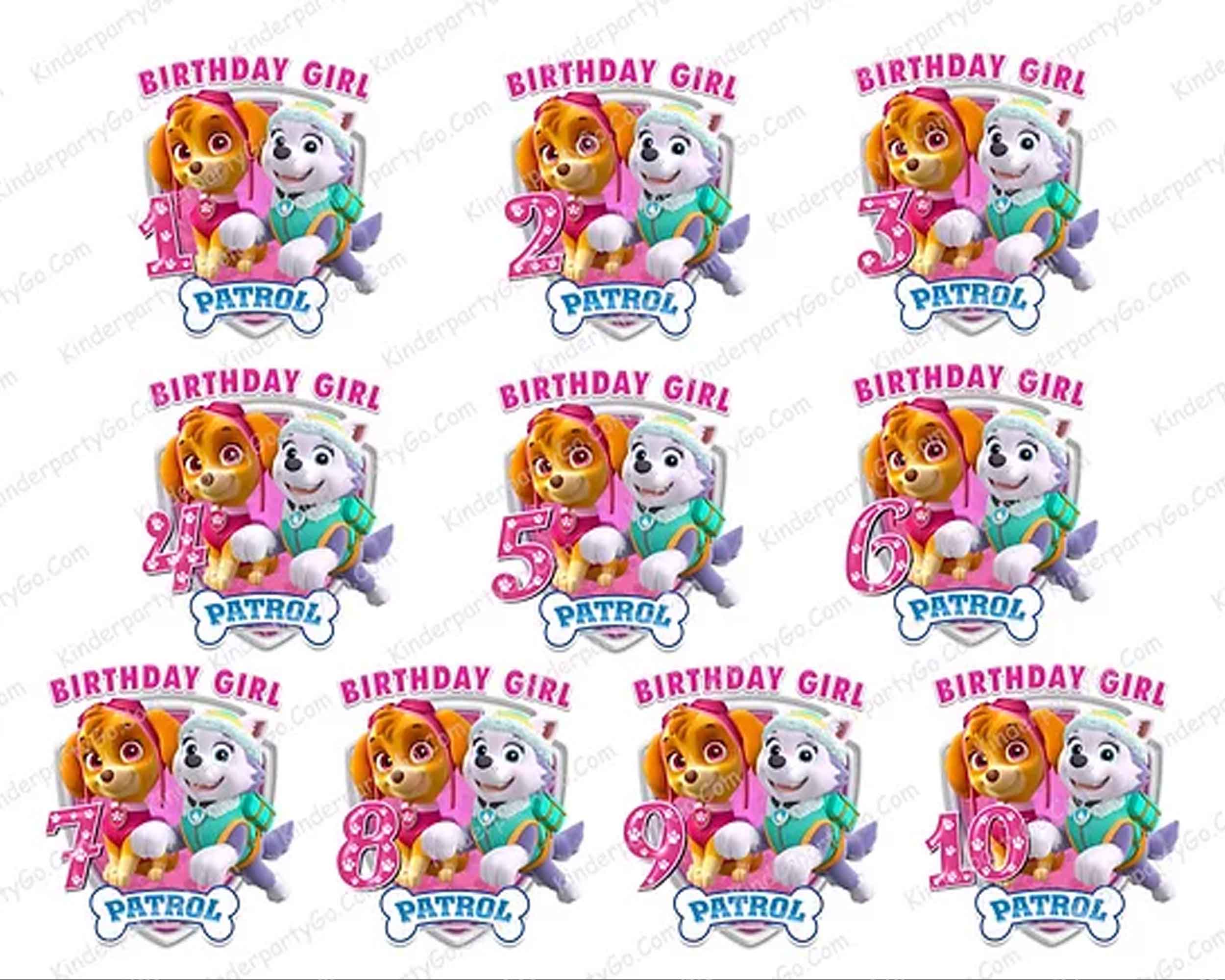 35 Paw Patrol PNG Bundle, Birthday girl png, Bundle designs, digital download.