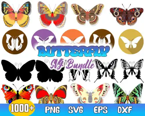 Butterfly SVG Bundle - Digital download