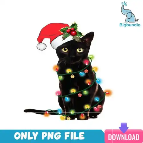 Black Cat Merry Christmas PNG