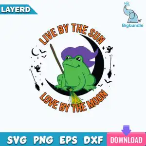 funnyquotes_1147.jpg Green frog in purple witch hat on broom over black crescent moon with Live By The Sun Love By The Moon text