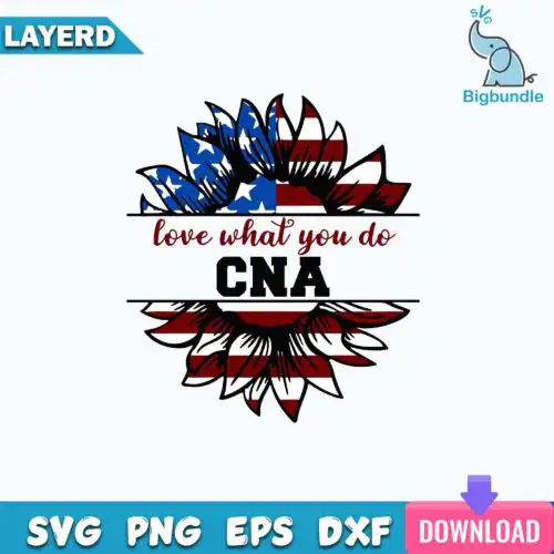 Love What You Do CNA Svg, CNA Svg