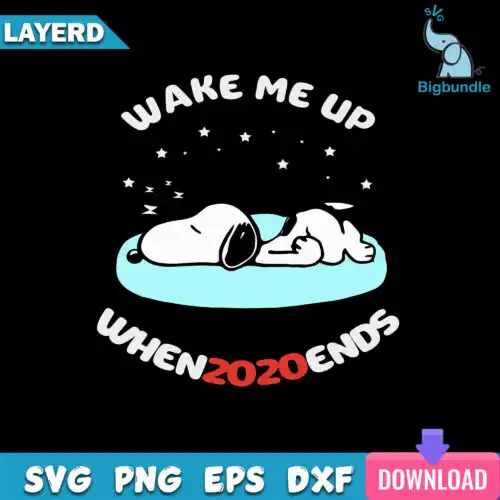 Wake Me Up When 2020 Ends PNG