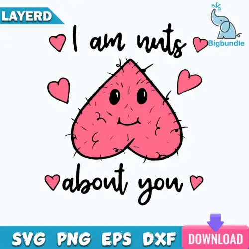I am nuts about you svg, valentines day svg