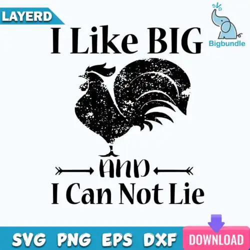 I Like Big And I can Not Lie Svg, Funny Quotes Svg