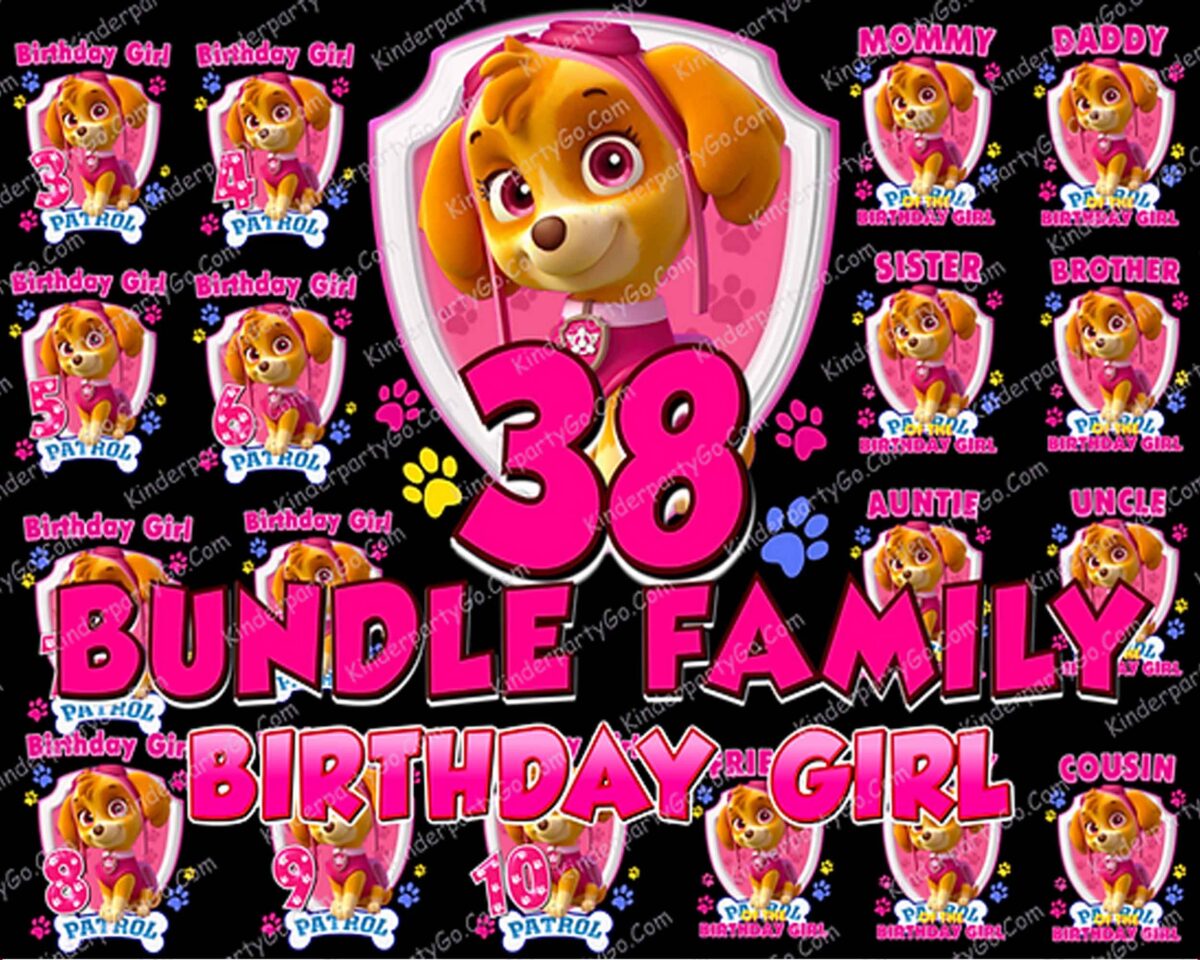 PawPatrolPNGBundleSkye.Download.Birthdayshirt Sublimation