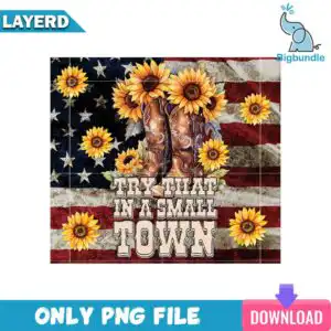 Western cowboy boots with sunflowers on distressed American flag with Try That In A Small Town text