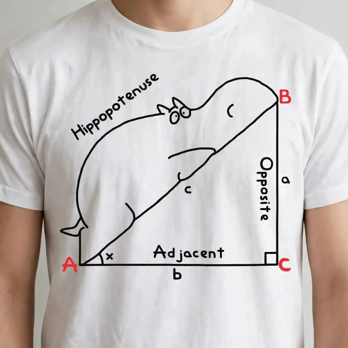 funny hippopotenuse math meme teacher humor art for classroom decor math meme teacher humor svg design printed on a plain product mockup